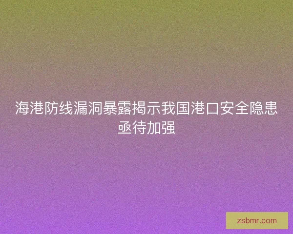 海港防线漏洞暴露揭示我国港口安全隐患亟待加强