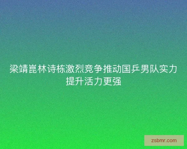 梁靖崑林诗栋激烈竞争推动国乒男队实力提升活力更强